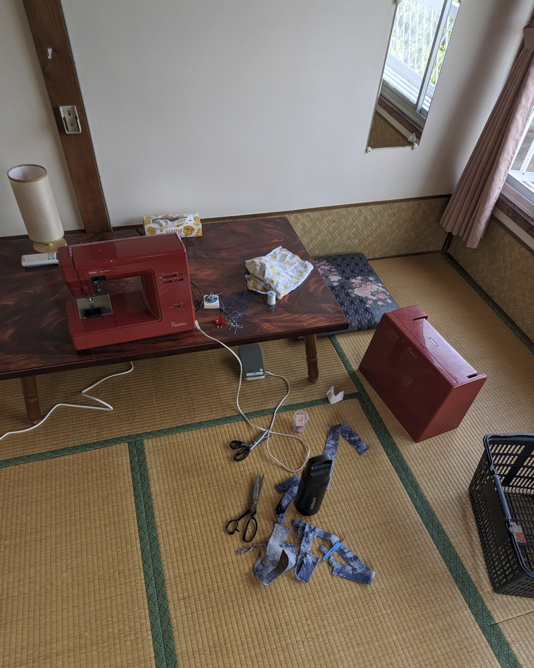 PXL_20240728_063831911